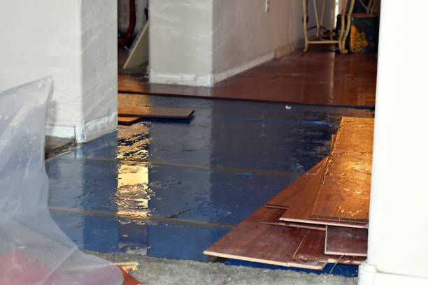 Professional Sewage Cleanup technician working in Stacy, NC